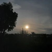 Vương Gia Duy