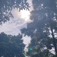 Lê Chi