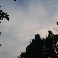 tập thể