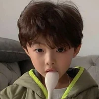 Song tử