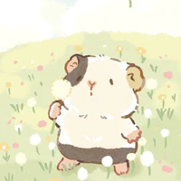 Chuột lười:3