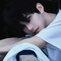 Huyền Kim Song Tử{@Tudaohoa}