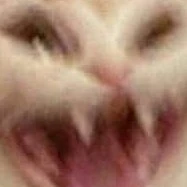 T/g bị tâm thần phân liệc💦