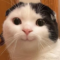 cả bọn (- ai thì trừ)