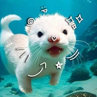 Tác giả/Họa Kỳ Ân