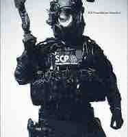 Đội đặc nhiệm cơ động