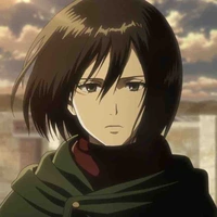 Mikasa 