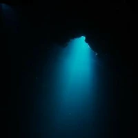 ? ? ?