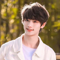 Ding Cheng Xin