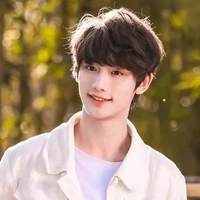 Ding Cheng Xin