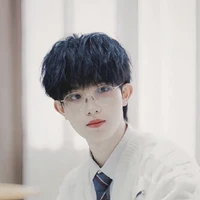 Tô Tân Hạo ( Tứ thiếu )