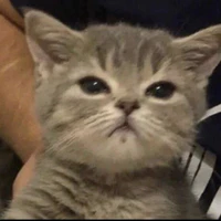 ꧁_củ dền_꧂