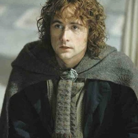 Peregrin Took ( Pippin )
