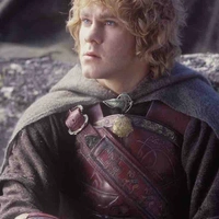Meriadoc Brandybuck ( Mery )