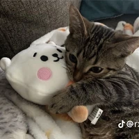 Tác giả éo sà