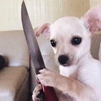 Một đám sát thủ€