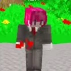 h1h4