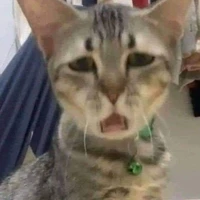 tg đin