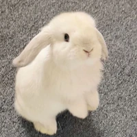 Luseri