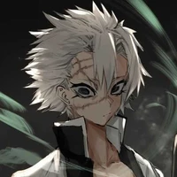 Shinazugawa Sanemi