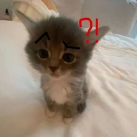？？？