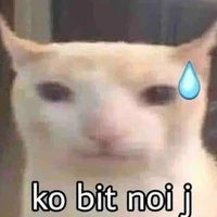 all - trừ ai thì trừ