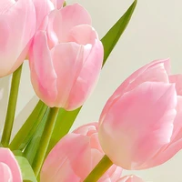 Bà Tác Giả