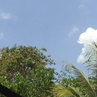 giáo viên chủ nhiệm 