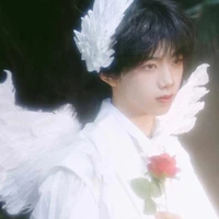 Trương Hàm Thụy