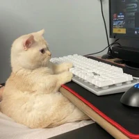 All