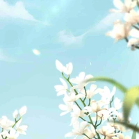 Nhân vật chưa có tên