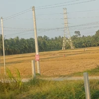 Tác giả