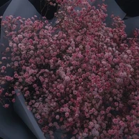 Đồng thanh [- nnc-]