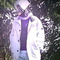 error 505 sans