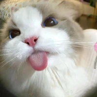 nhỏ tác giả 