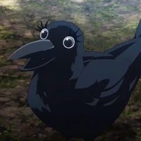 Ginko