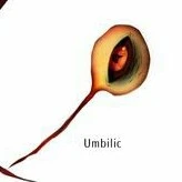Umbilic