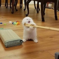nam9 bot : tên : nam
