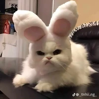 Dương Cẩm Xuyên