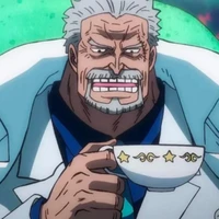 Monkey D garp
