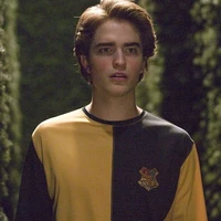 Cedric Diggory
