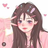 Y/N