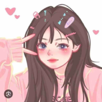 Y/N