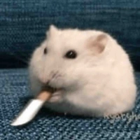 ? ? ?