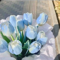 Cân mọi nv