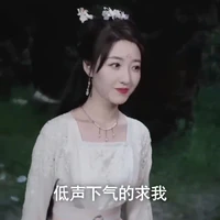 Ngôn vũ Lâm(thái tử phi)