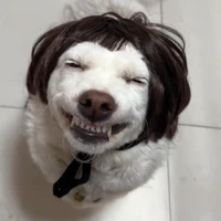 Tác dả