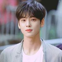 Han Mijin