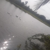 Ngọc
