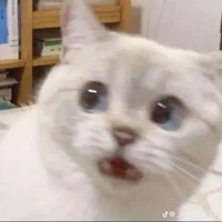 t/g